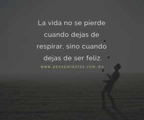 Abuelo, �c&oacute;mo se pierde la vida?