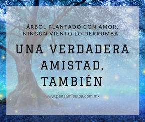 como &aacute;rboles