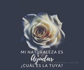 ¿Cuál es tu naturaleza?
