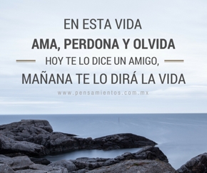 Frases bonitas