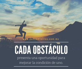 La vida te ense&ntilde;a