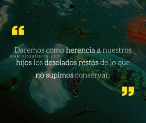 Reflexi&oacute;n