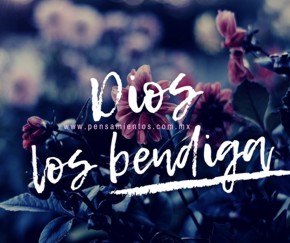 Reflexi&oacute;n