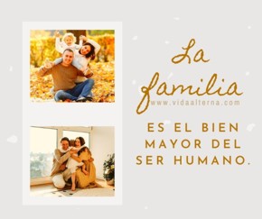 �Sabes cu&aacute;ndo fallamos?