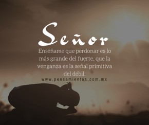 Se&ntilde;or ay&uacute;dame